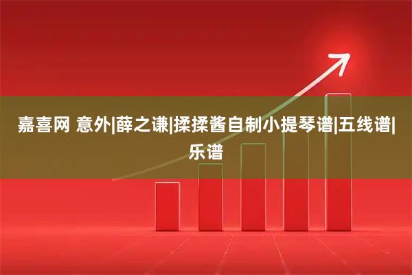 嘉喜网 意外|薛之谦|揉揉酱自制小提琴谱|五线谱|乐谱